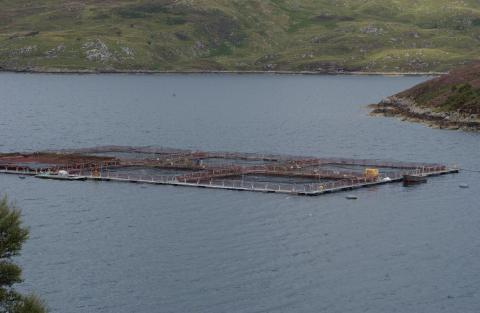 Side view of a large finfish farm