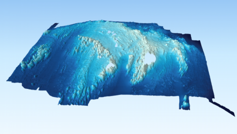 3D image of Rockall Bathymetry © Marine Scotland