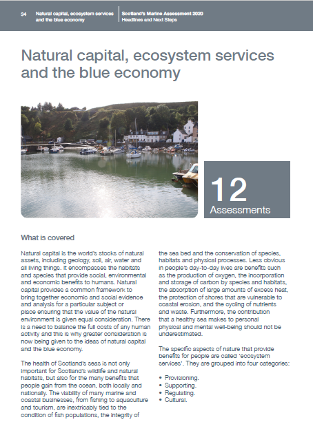 Natural capital, ecosystem services and the blue economy