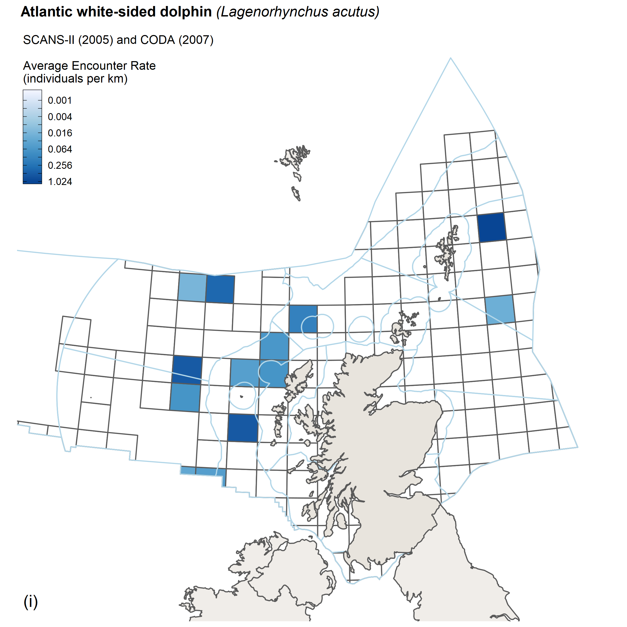 Encounter rates for Atlantic white sided dolphin from SCANS II/CODA survey