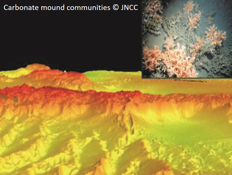 Carbonate mound communities © JNCC