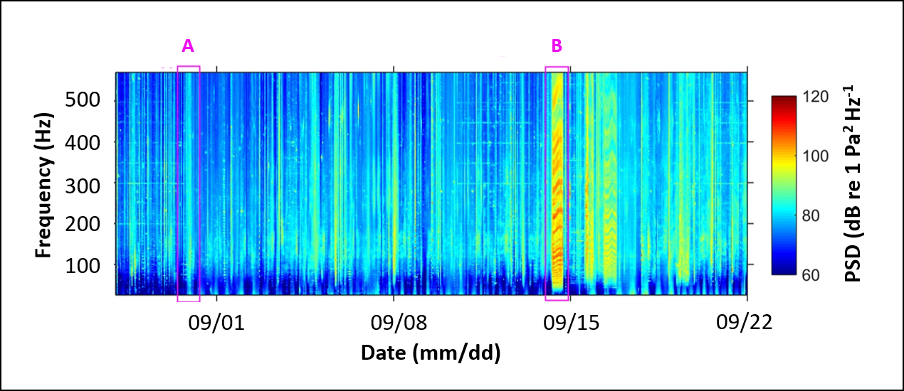 Figure 2: Spectrogram showing data from the Fraserburgh monitoring site (referred to by Merchant et al. (2016) as NNS5) from a period during 2013.