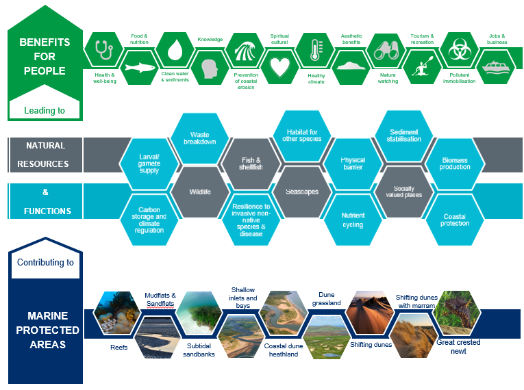 An illustration of the benefits to natural resources and to people from MPAs