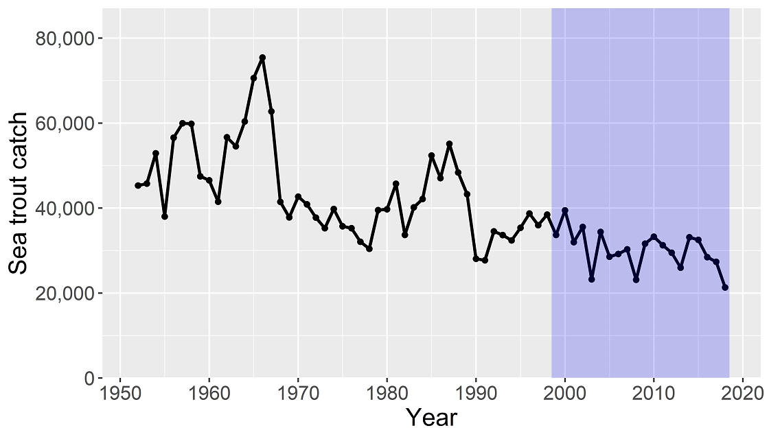 Figure 7: Rod catches of sea trout in Scotland from 1952-2018. The shaded area highlights the last 20 years which were used to examine trends.