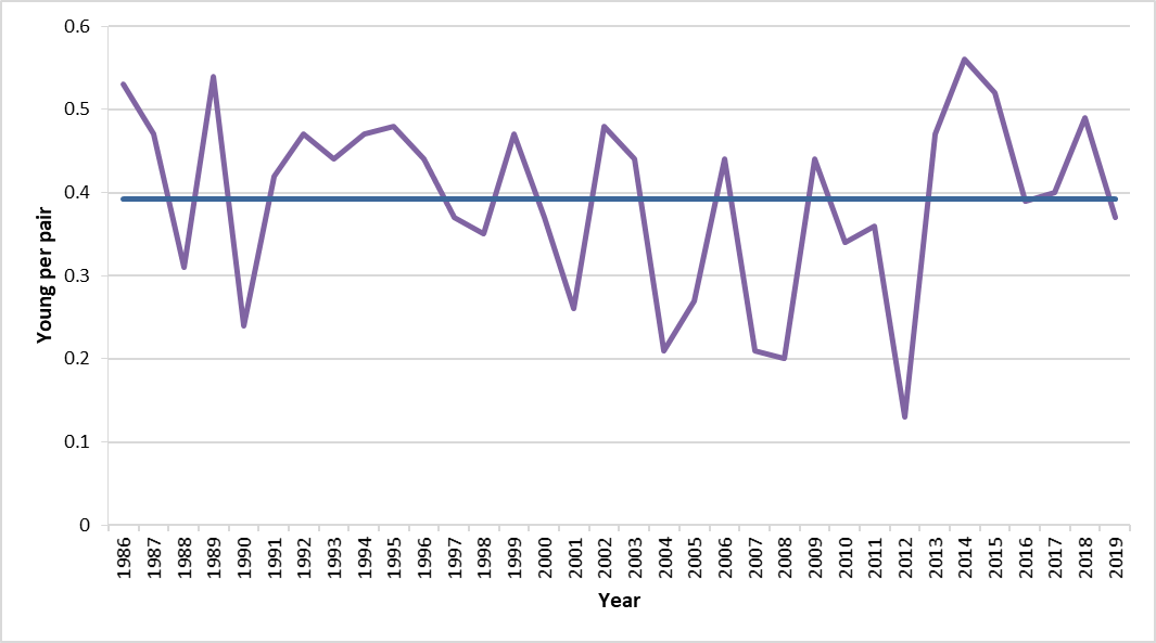 Figure g: Northern fulmar breeding success at Isle of May 1986 to 2019. Average value shown by solid blue line.