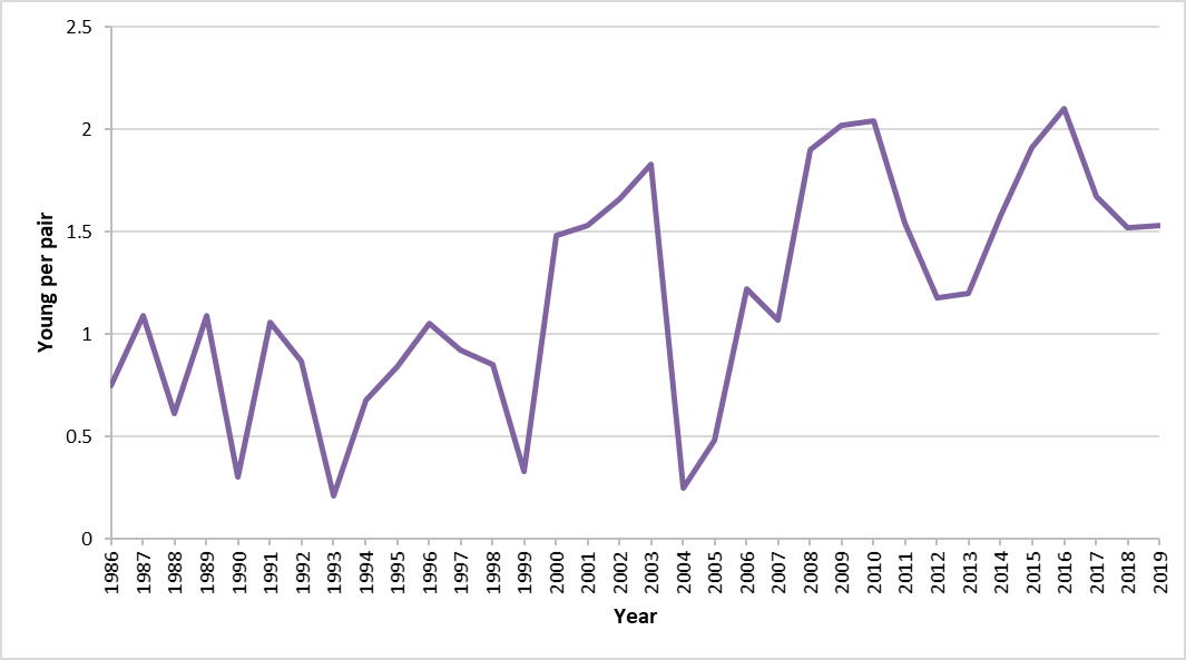 Figure i: European shag breeding success at Isle of May, 1986 to 2019.