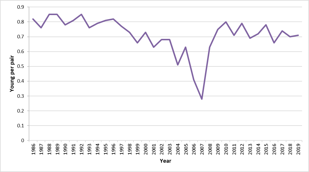 Figure m: Breeding success (young raised per pair) of common guillemot at Isle of May, 1986 to 2019.