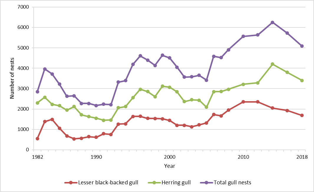 Figure s: Herring gull and lesser black-backed gull breeding numbers on Isle of May 1982 to 2018. Total nests (yellow line), herring gull nests (grey), lesser black-backed gull nests (red).