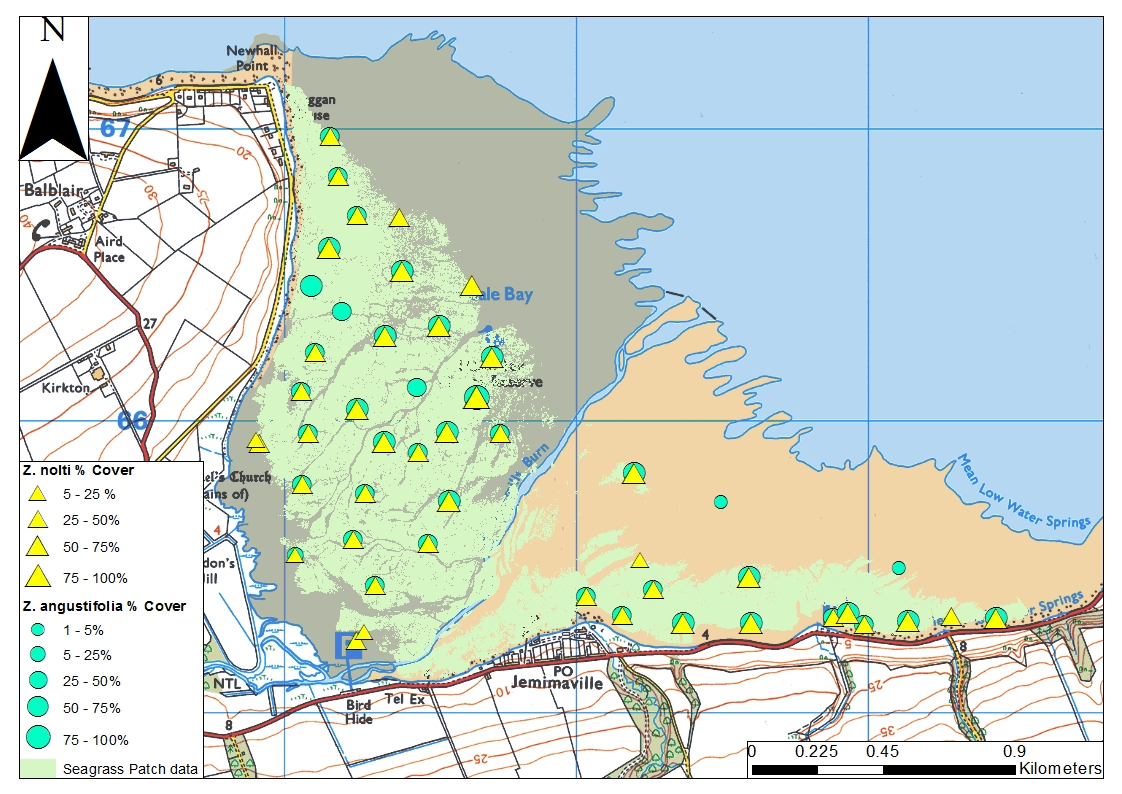 Seagrass species distribution and extent at Udale Bay, Cromarty Firth 2015