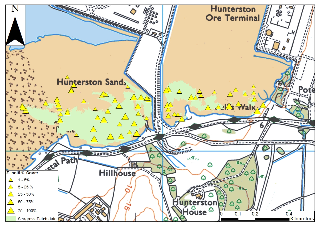 Seagrass species distribution and extent at South Hunterston, Clyde Estuary 2016