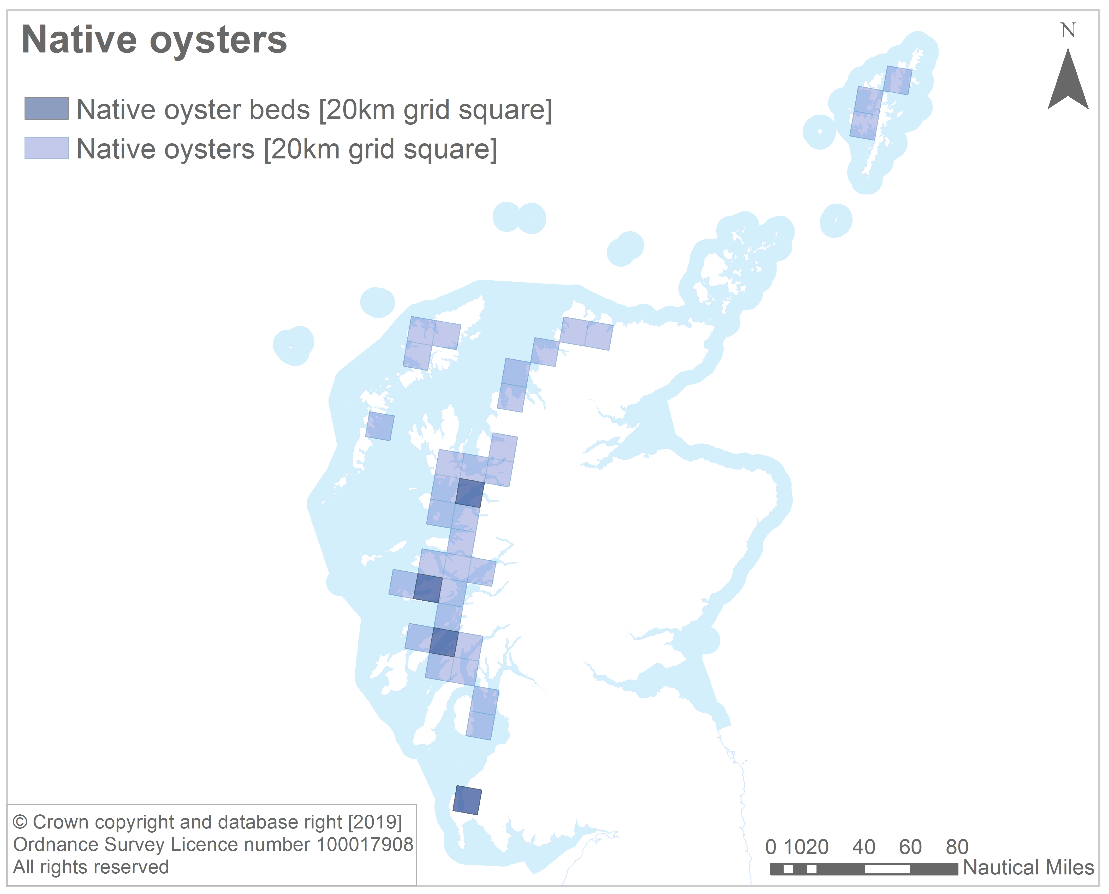 Figure 4: Distribution map of native oysters in Scottish waters today.
