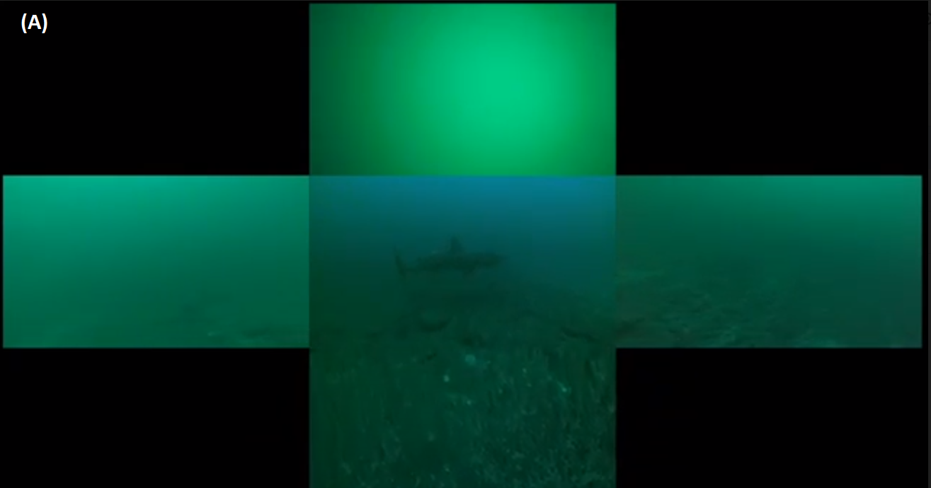 Figure 5: A.  Merged images from 5 video cameras aboard the AUV (centre image is forward, left, right, up and down). © Amy Kukulya, Oceanographic Systems Lab, WHOI.