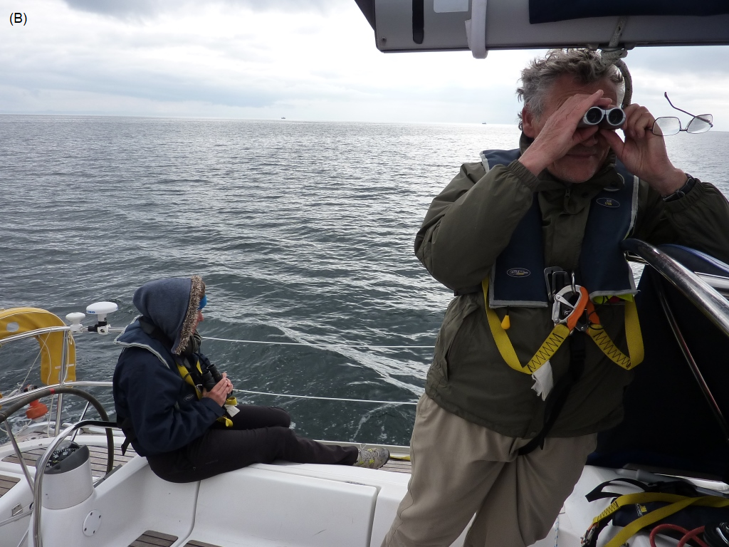 Figure 9: Examples of citizen science. B. Volunteers on board sailing vessel collecting basking shark sightings data - a project involving Wave Action and The Wildlife Trusts (Speedie et al., 2009).