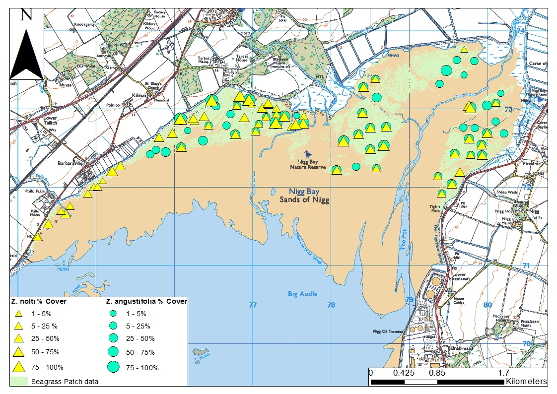 Seagrass species distribution and extent at Nigg Bay, Cromarty Firth 2015