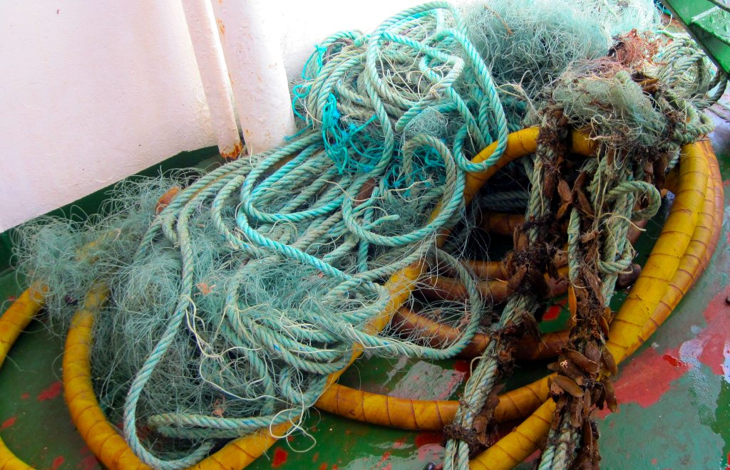 Figure b: Entangled litter (excluding the underlying hose) counted as a single item of ‘synthetic rope’.