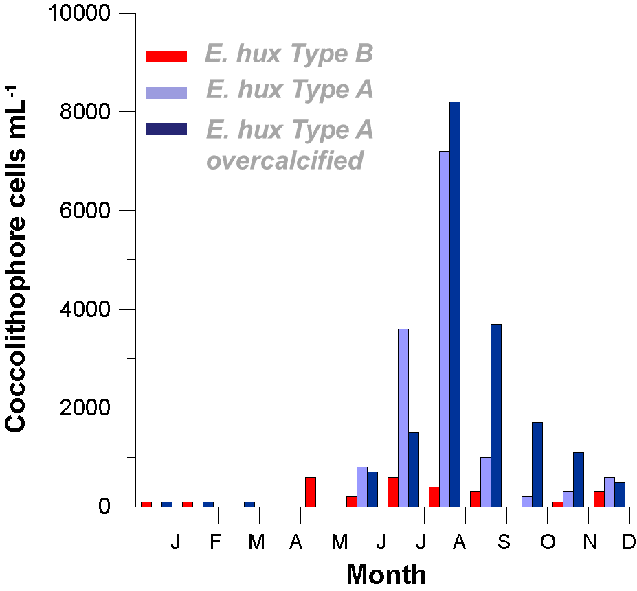 Seasonal distribution