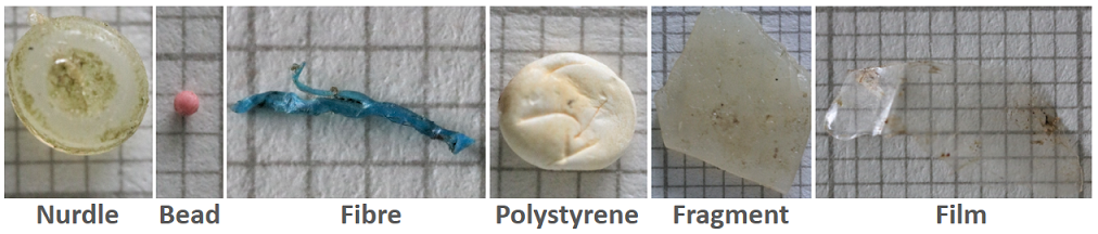 Figure e: Examples of the categories of microplastics in this study (except for paint flakes). Background squares are 1 mm on each side.