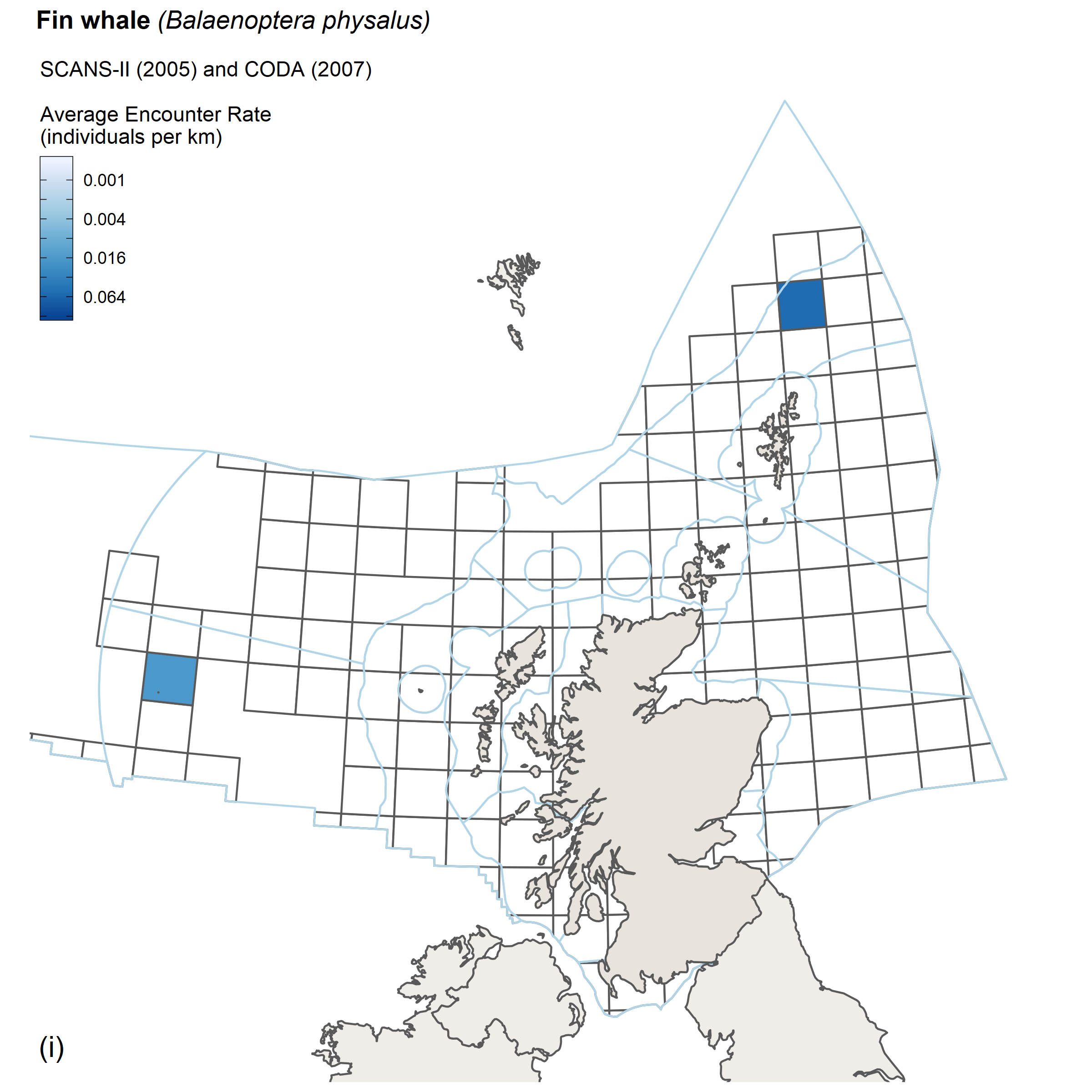Encounter rates for fin whale from SCANS II/CODA survey
