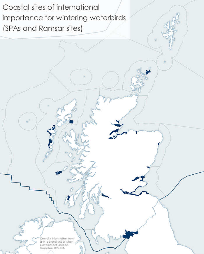 Figure 1: Sites of international importance for wildfowl and wader species together with Scottish Marine Regions.
