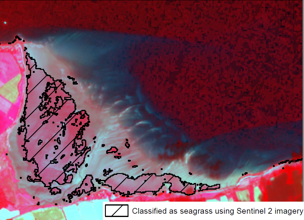 The process of classifying seagrass areas with Sentinel 2 data and comparison with SEPA seagrass polygons mapped with GPS in the field