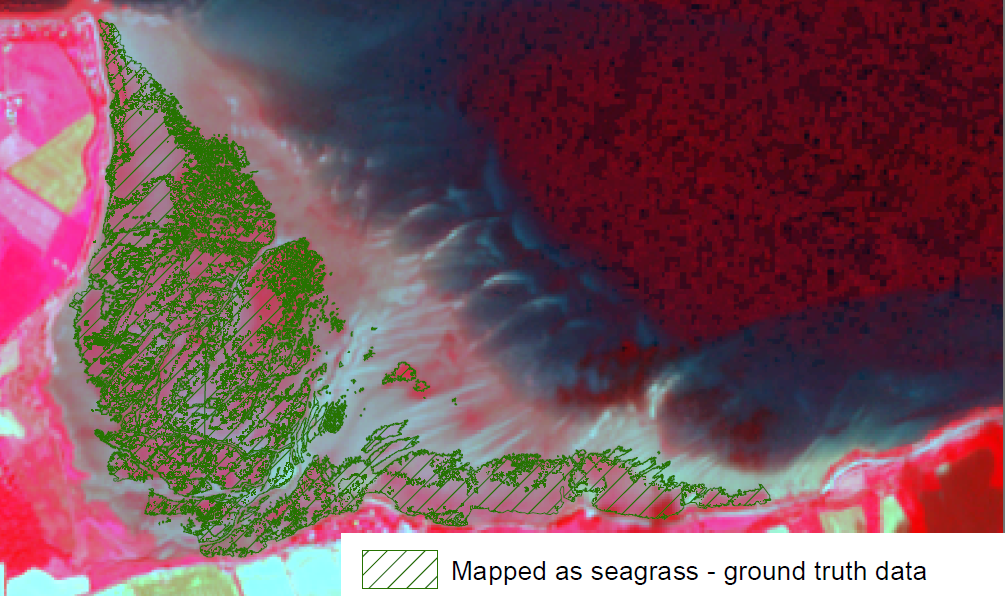 The process of classifying seagrass areas with Sentinel 2 data and comparison with SEPA seagrass polygons mapped with GPS in the field