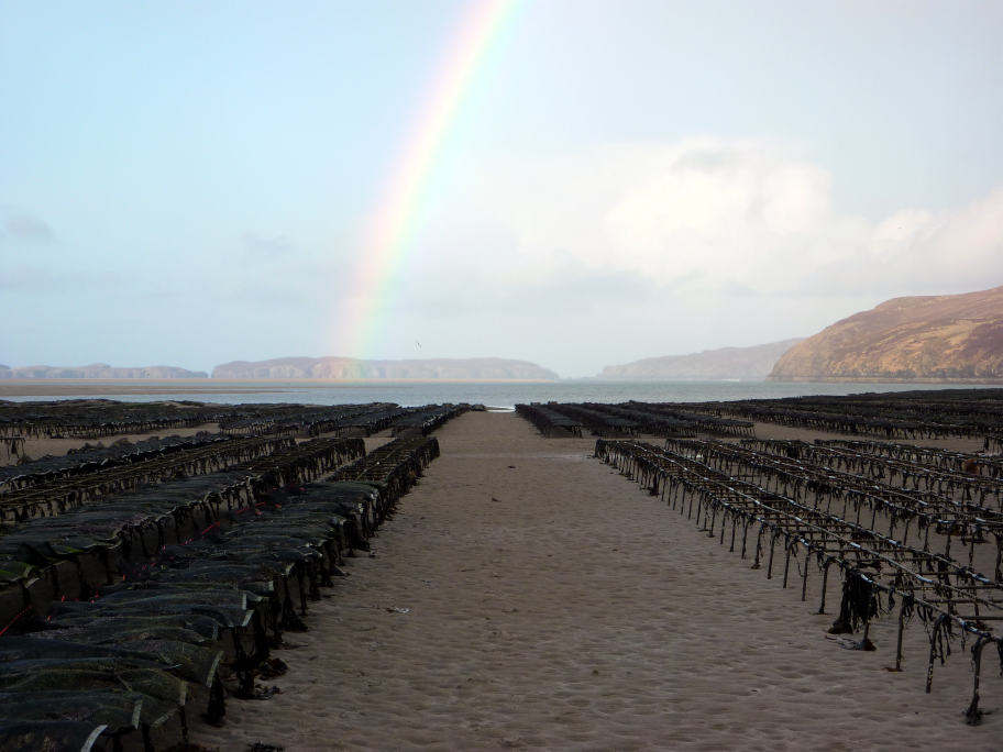 Figure j: Oyster trestles, Kyle of Tongue, Highland. Photo by Andrea Warwick