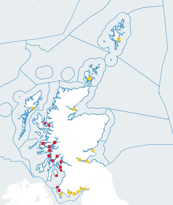 Figure 2: Map of verified records of high-impact non-native species within Scottish Marine Regions.