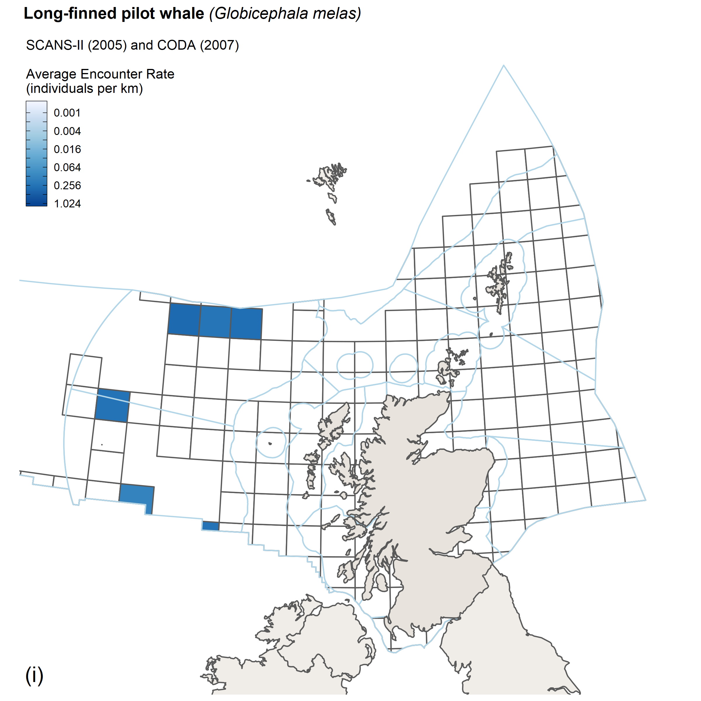 Encounter rates for long finned pilot whale from SCANS II/CODA survey