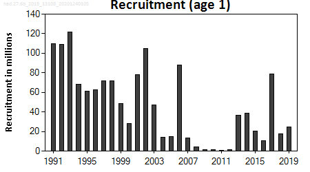 ICES stock summary plots for haddock in area 6b (Rockall) - recruitment