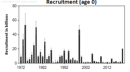 ICES stock summary plots for haddock in areas 4, 3a and 6a - recruitment