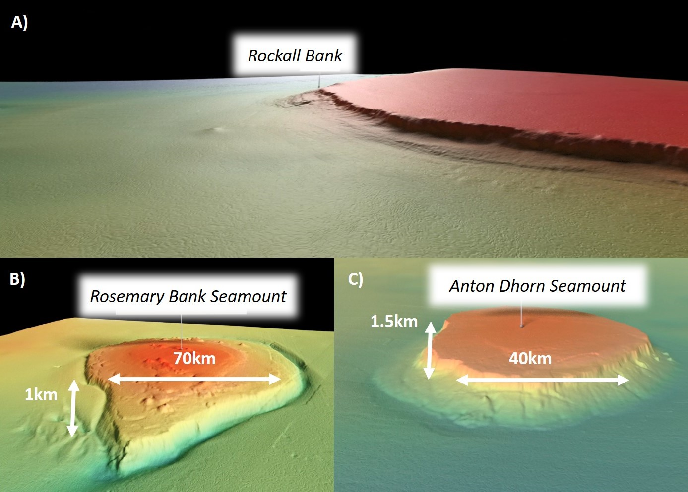 Multibeam images of Rockall Bank (bottom) and Anton Dhorn and Rosemary Bank Seamounts (top) (© JNCC)