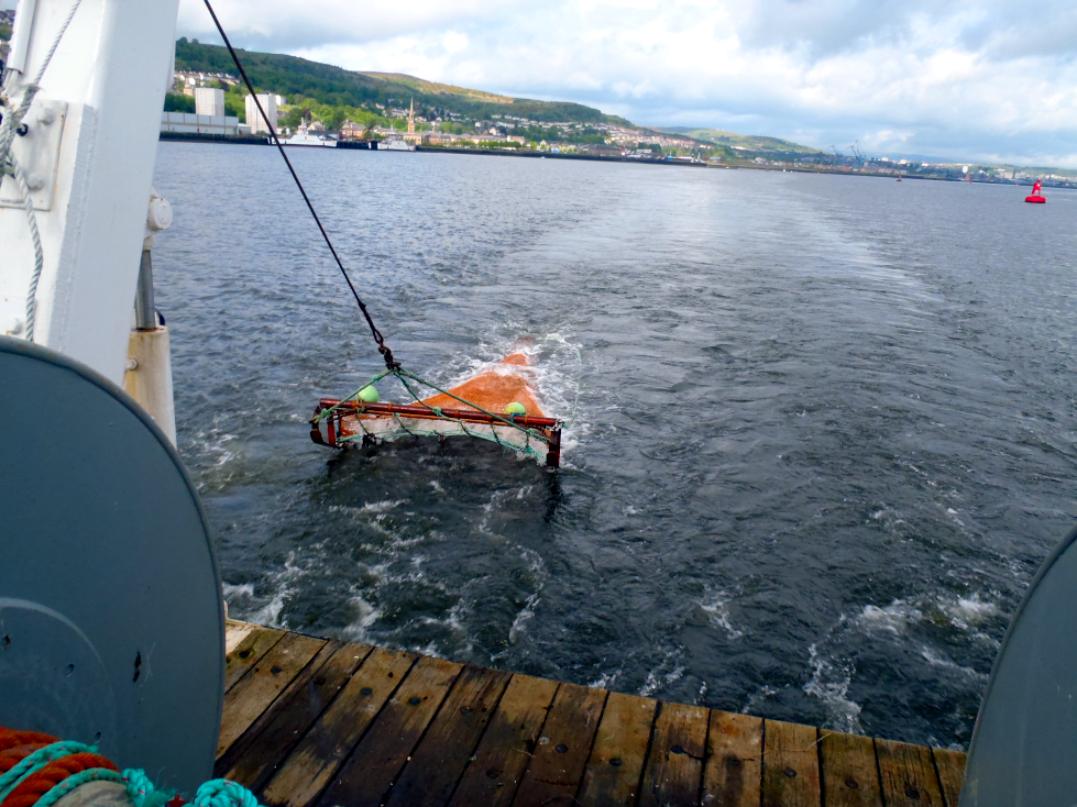 Deploying the 2.5 m beam trawl 