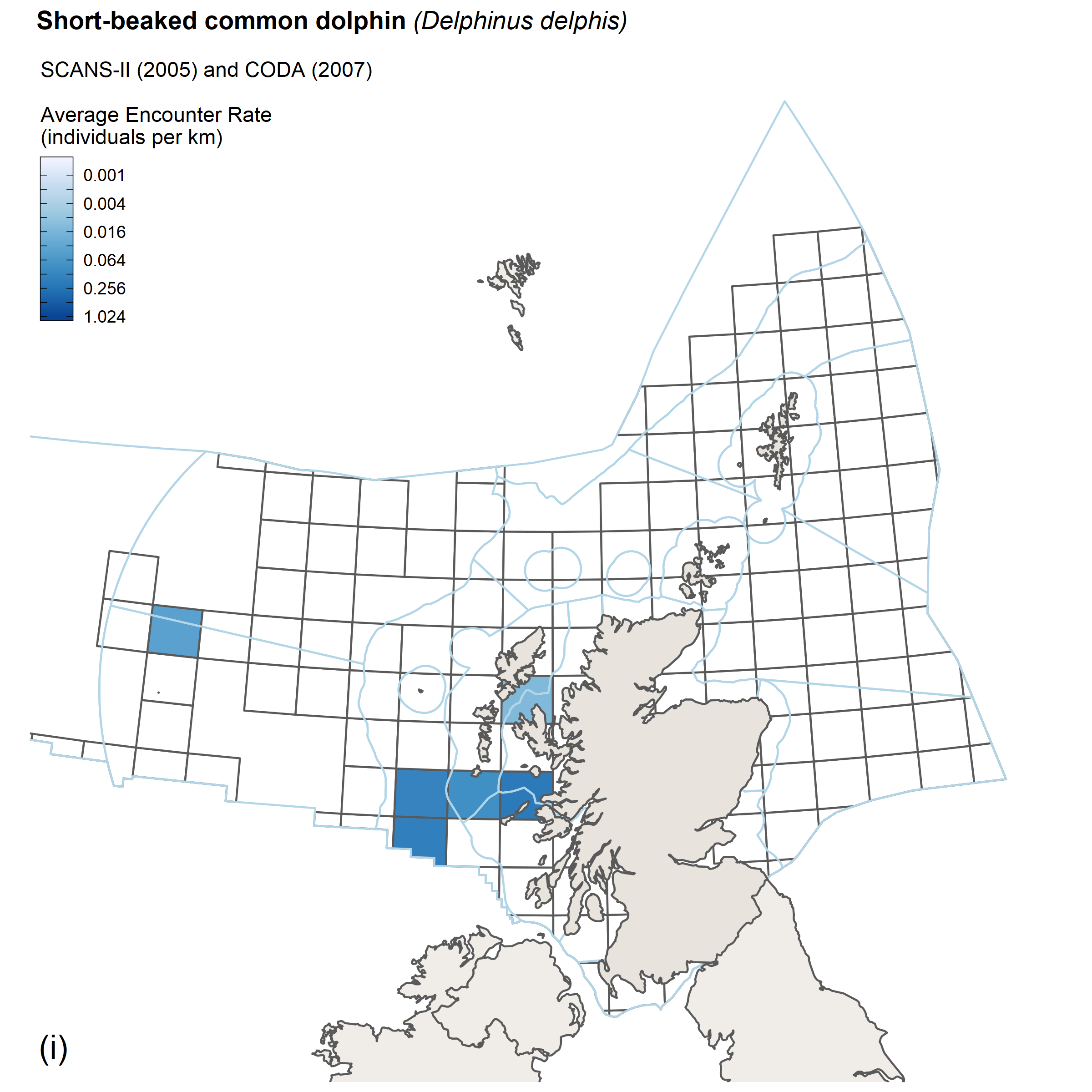 Encounter rates for short-beaked common dolphin from SCANS II/CODA survey