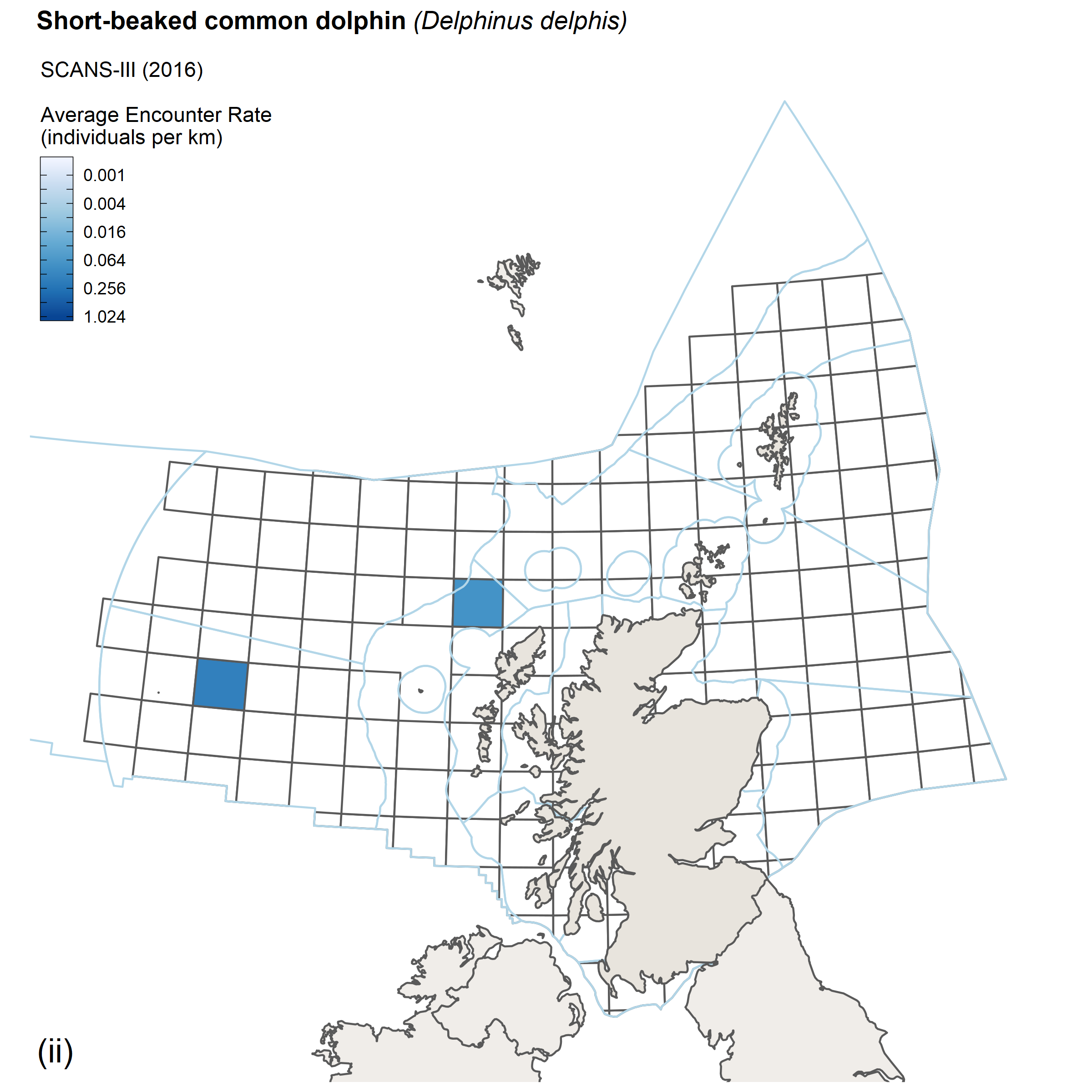 Encounter rates for short-beaked common dolphin from SCANS III