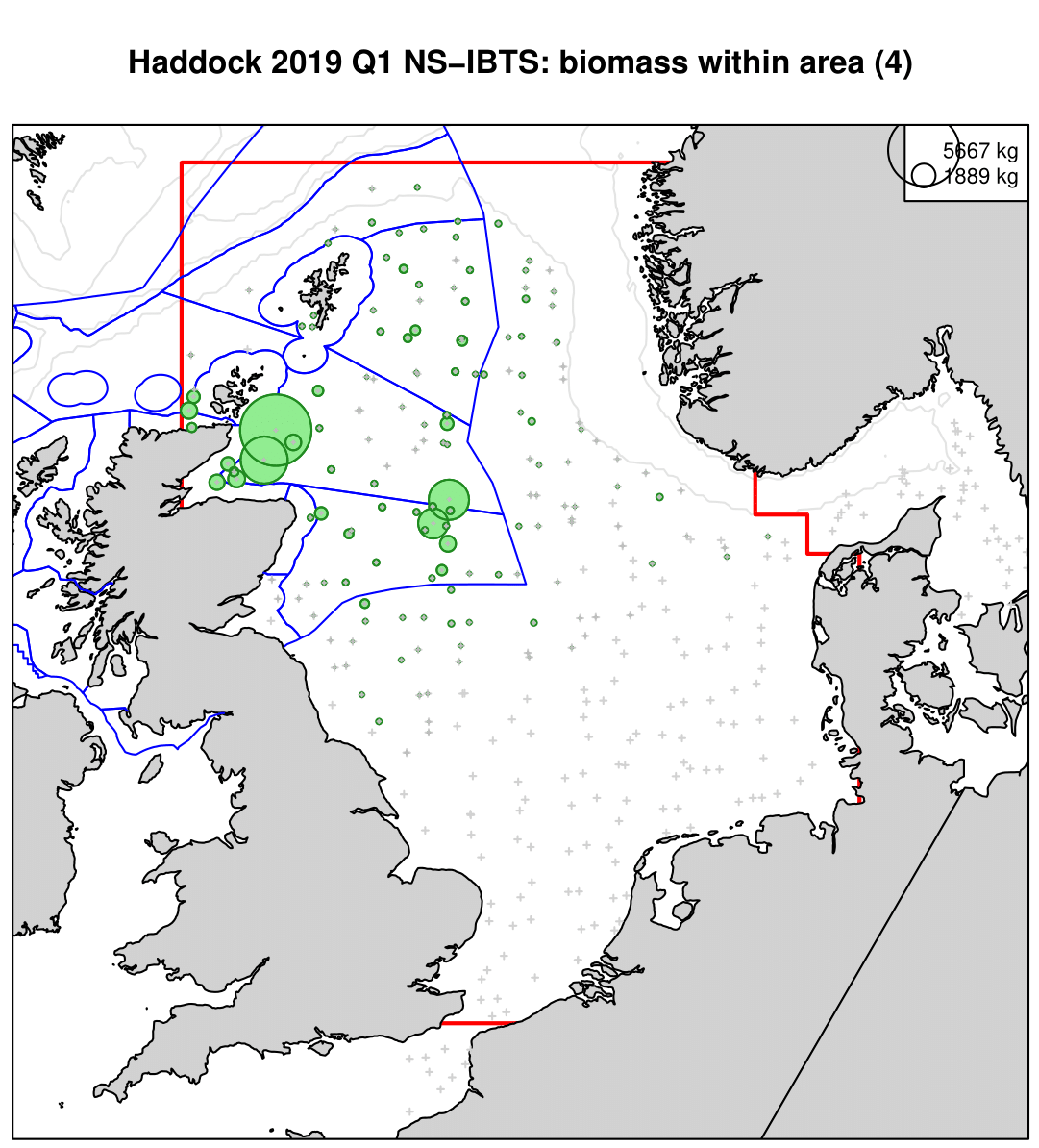 Haddock 2019 Q1 NS-IBTS: biomass within area (4)