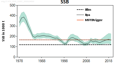 ICES stock summary plots for whiting in areas 4 and 7d - ssb