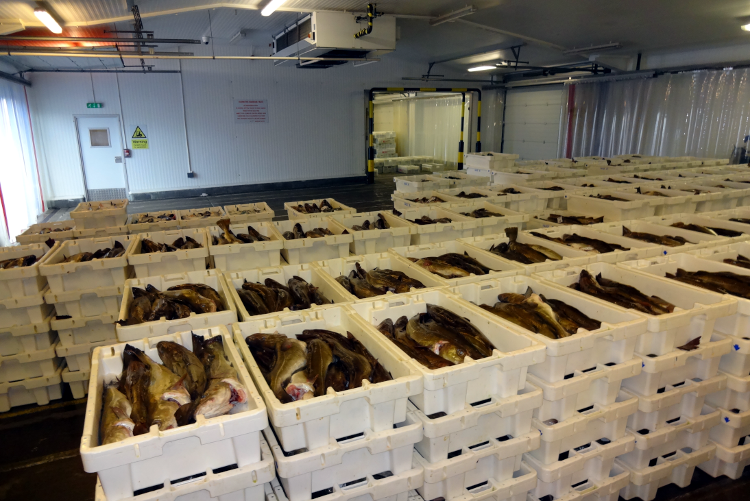 Figure 3: Cod boxes at Scrabster fish market. Source: © Stuart Bell, Marine Scotland.