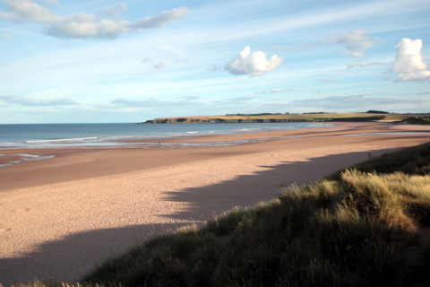 Lunan Bay, on the east of Scotland. A vast, sandy beach which is a haven for wildlife and enjoyed by the people who walk its length