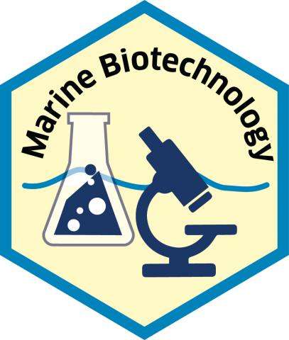 Blue economy sector hexagon marine biotechnology
