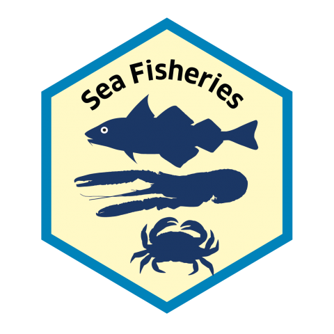 Blue economy sector hexagon sea fisheries