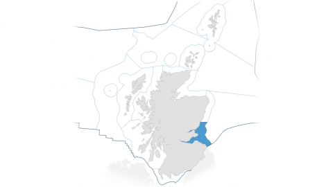 Image of Forth and Tay Scottish Marine Region