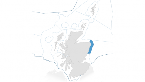 Image of North East Scottish Marine Region