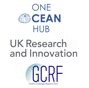 One Ocean Hub logo