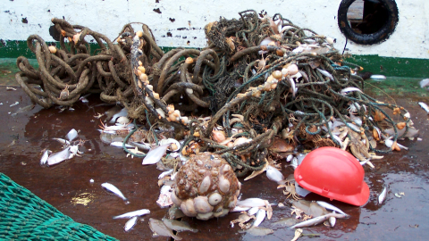 Sea-floor litter