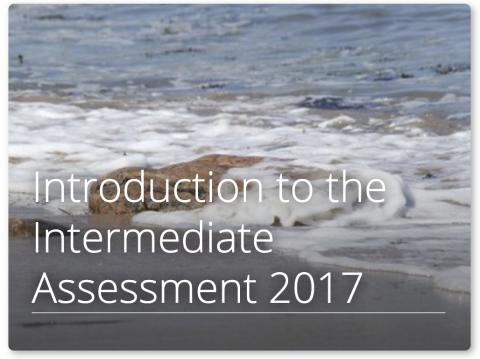 OSPAR Intermediate Assessment 2017