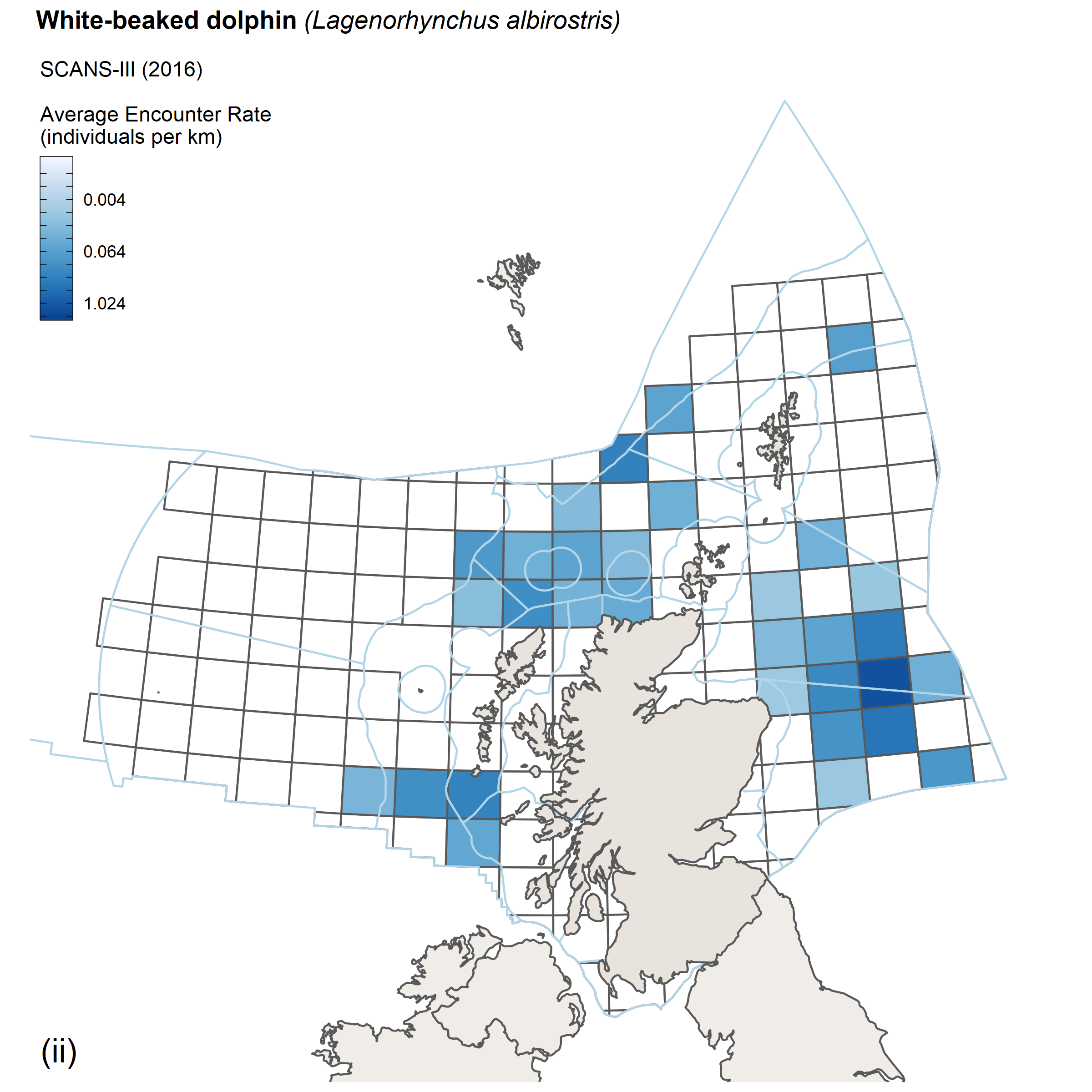 Encounter rates for white-beaked dolphin from SCANS III